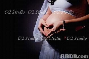 專業(yè)攝影攝像服務(wù)，以豐富經(jīng)驗為您定格精彩瞬間